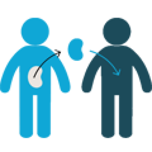 Organ Transplant In India